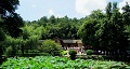 長沙出發(fā)到花明樓、韶山、張家界國家森林公園、天門仙山國家森林公園四日游